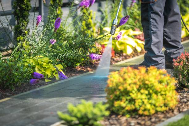 Best Pool Deck Cleaning  in Nuevo, CA